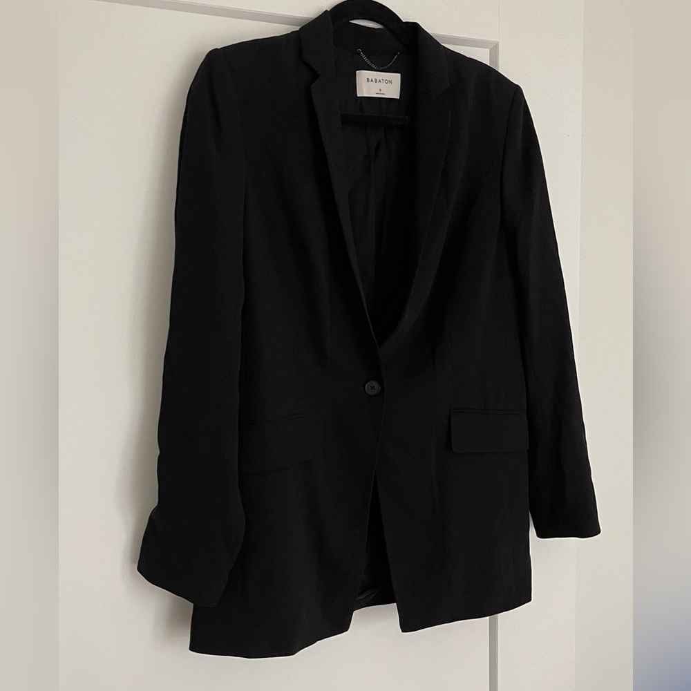 Aritzia Babaton Blazer